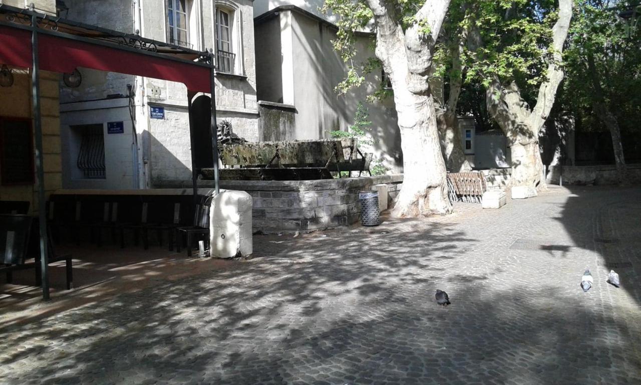 Sur Jardin Secret - Centre - Climatisee Avignon