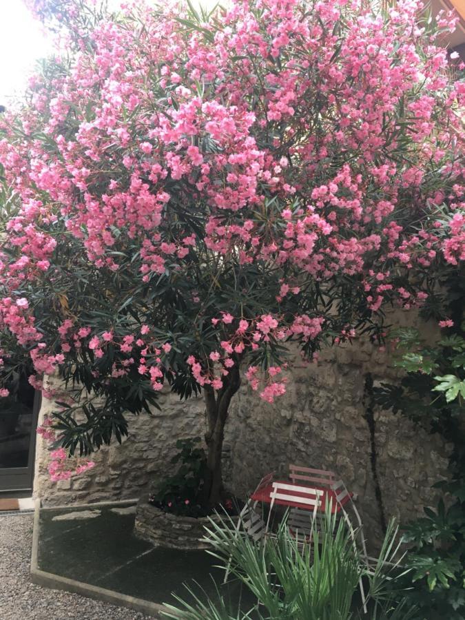 Sur Jardin Secret Avignon